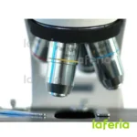 VE-B10 Microscopio de contraste de fase binocular - Imagen 3